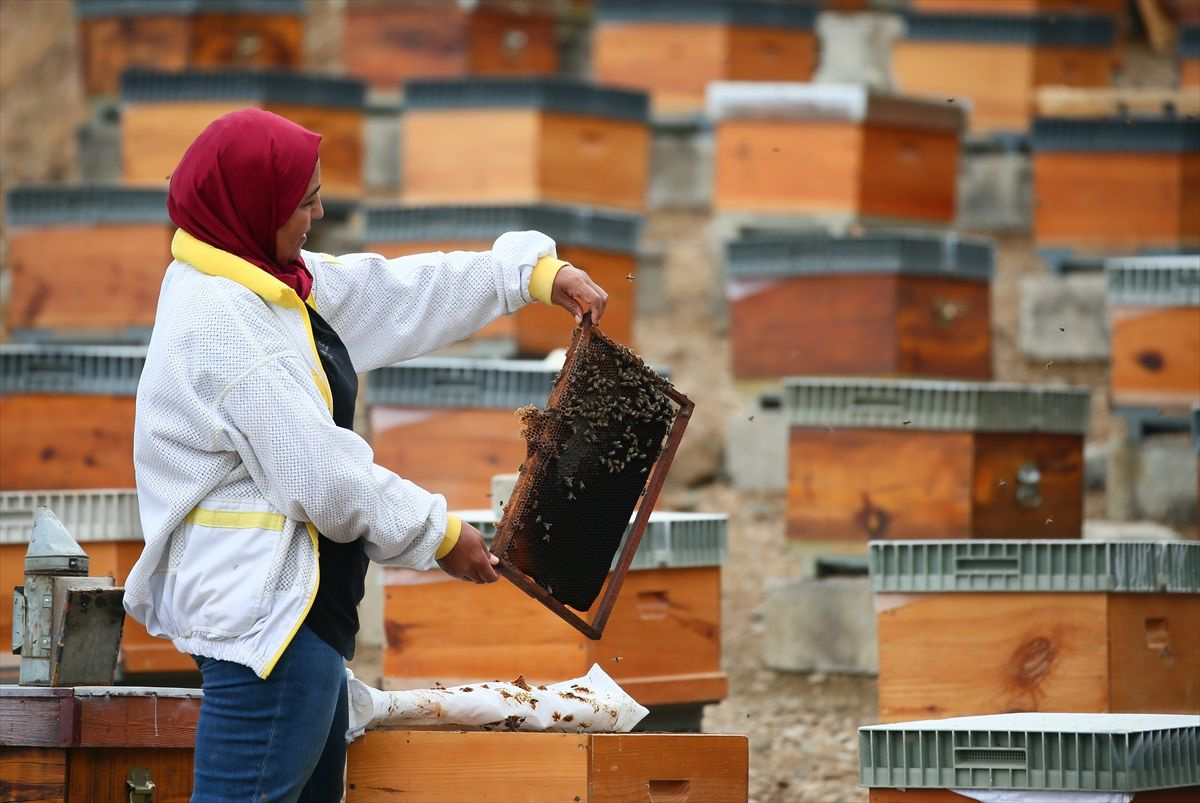 Memurluğu bırakıp bu işe başladı! Yılda 7 bin tane üretip tanesini 100 liradan satıyor