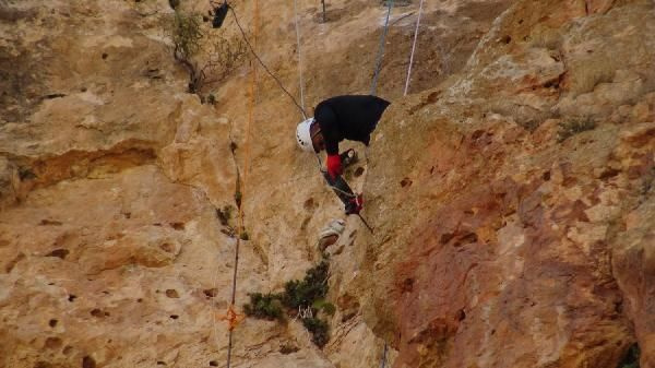 150 metre tırmanıp topladı! Kilosu 1000 TL: Cumhurbaşkanı Erdoğan için topladı