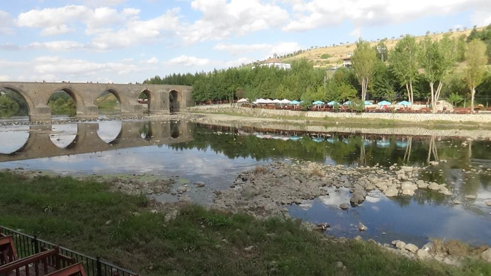 Diyarbakır'da korkutan görüntü! Yüzlercesi öldü: Kokudan rahatsız oluyoruz
