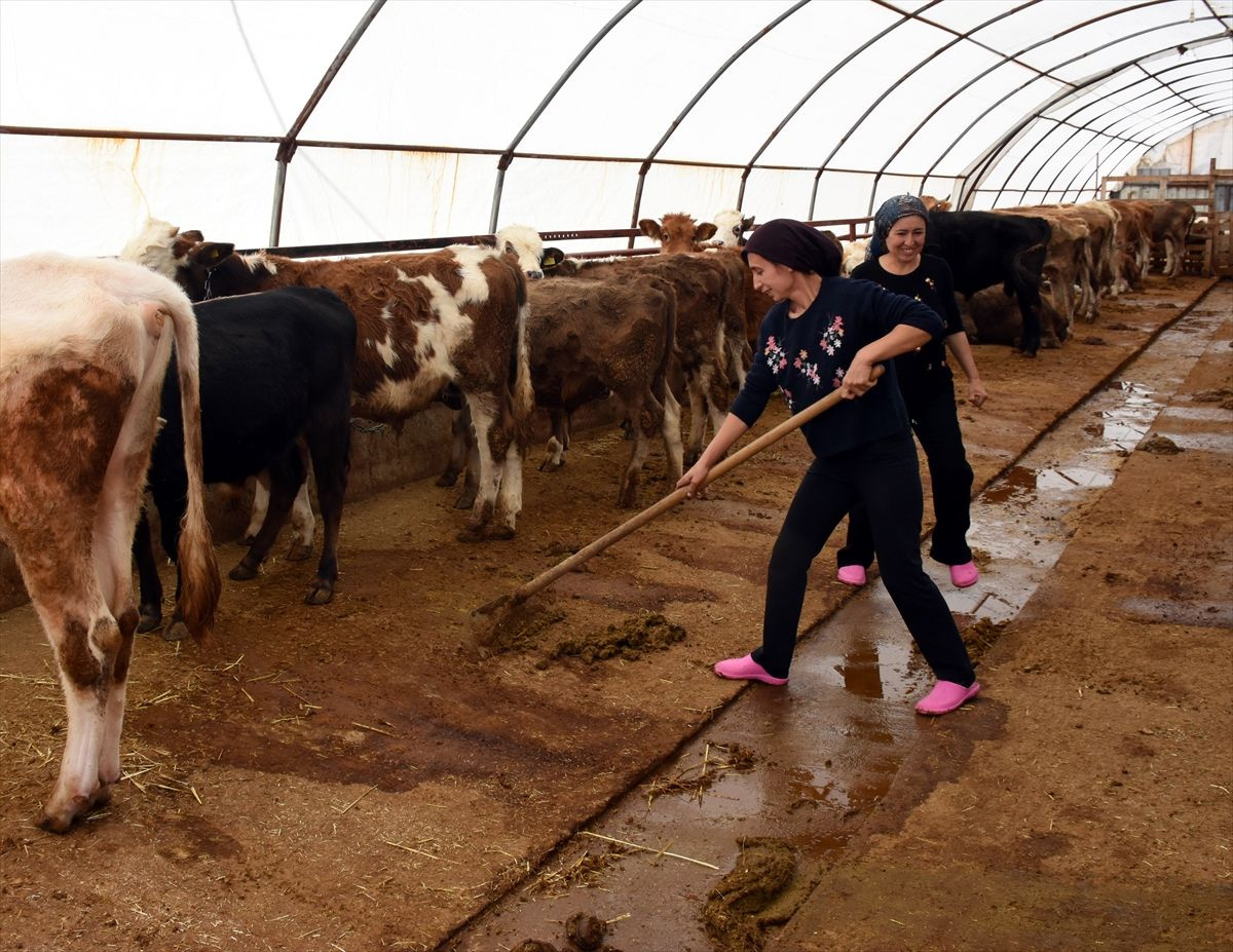 Üniversite mezunu kız kardeşler devletten hibe alıp başladı! Baba mesleğinde zirve