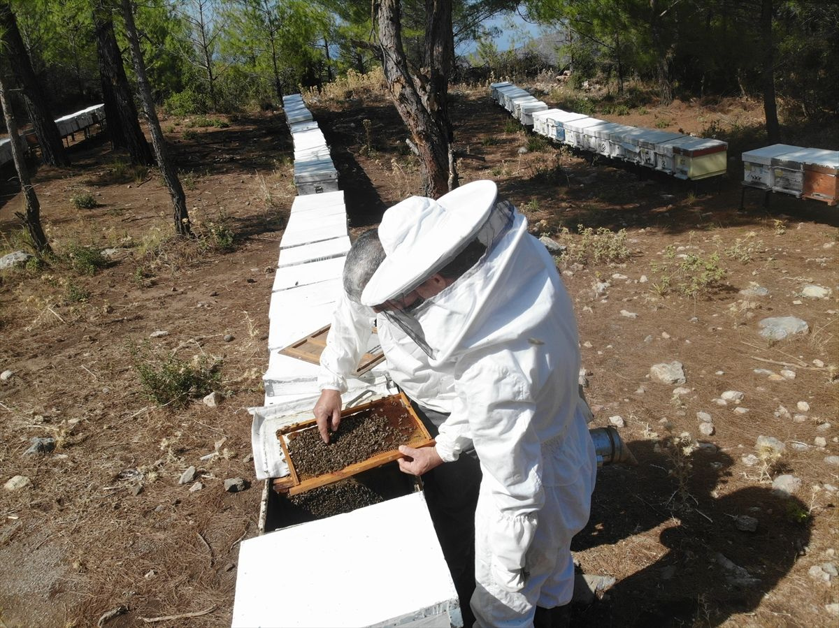 Muğla'da bu iş için mühendisliği terk etti! Paraya para demiyor: Acaba burada ne yapıyorlar?