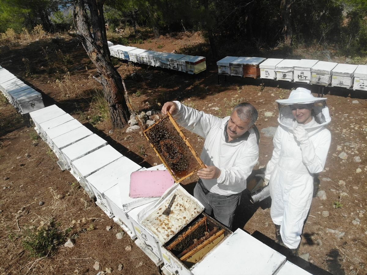 Muğla'da bu iş için mühendisliği terk etti! Paraya para demiyor: Acaba burada ne yapıyorlar?