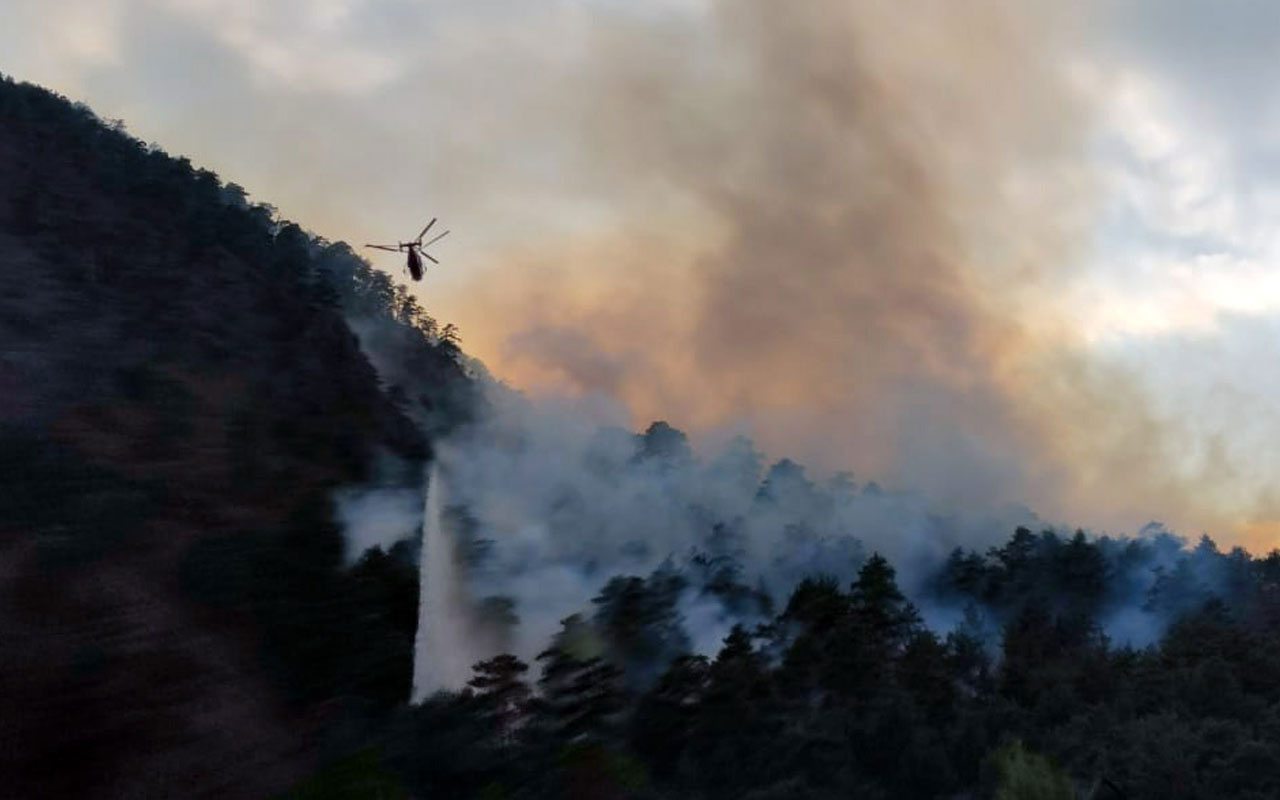 Adana'da çıkan orman yangını çıktı! Müdahale ediliyor