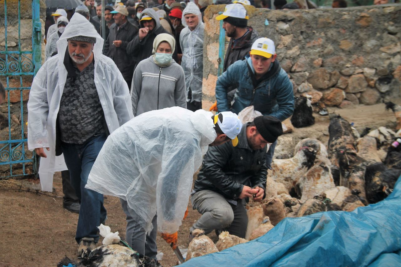 Bekçi nöbet tuttu! Konya'da 150 gün mağarada bekletildi: 80 TL'ye satılıyor