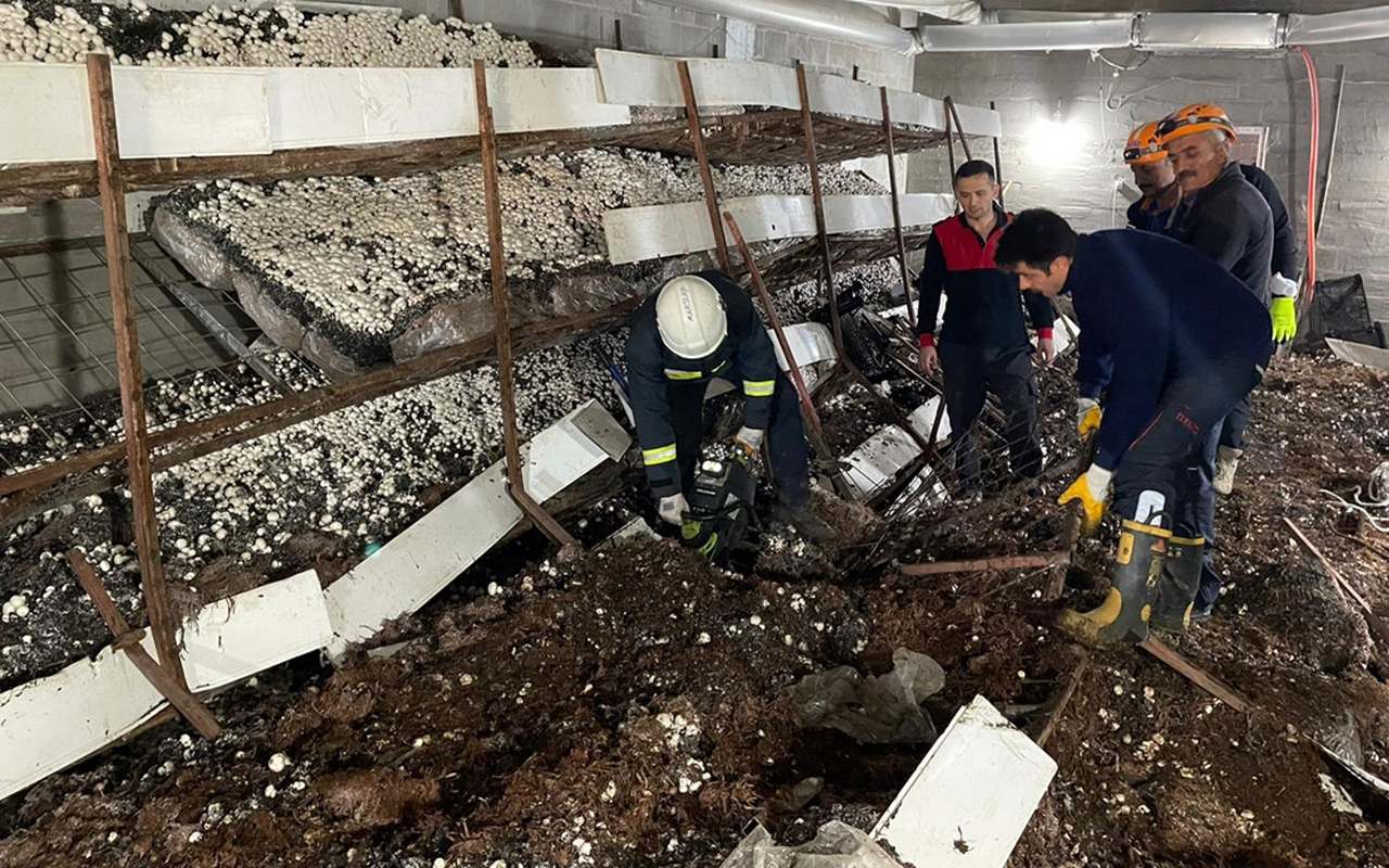 Van'da mantar üretim tesisinde devrilen rafların altında kalan 5 işçi yaralandı