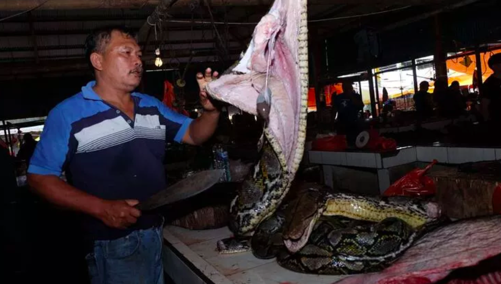 Wuhan'da 18 yeni virüs bulundu yeni salgın korkusu! Koronavirüs de oradan başlamıştı