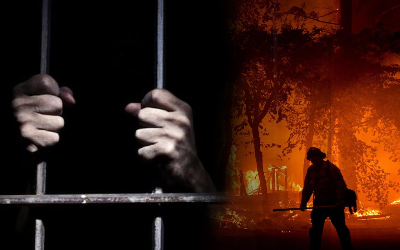 Orman yangınlarına karşı cezaevlerindeki hükümlüler müdahale edecek Bakan Gül açıkladı