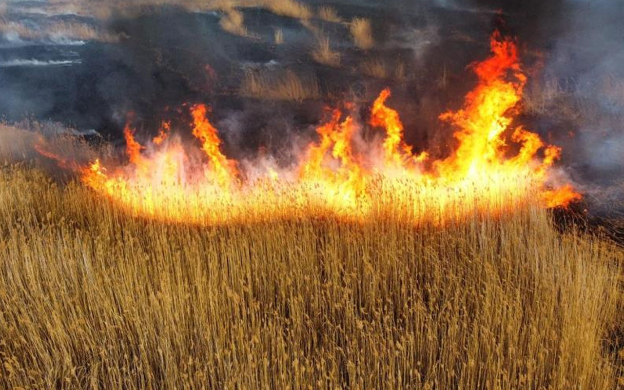 Afyonkarahisar'da Eber Gölü alev alev yanıyor! Müdahale edilemiyor