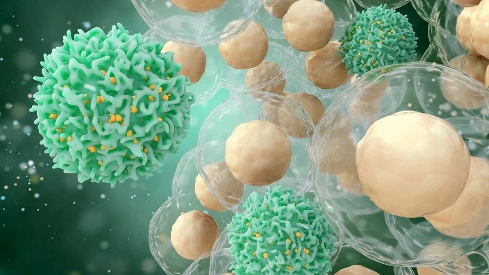 Alman profesör: Omicron varyantı koronavirüsün hafif bir hastalığa dönüştüğünü gösteriyor
