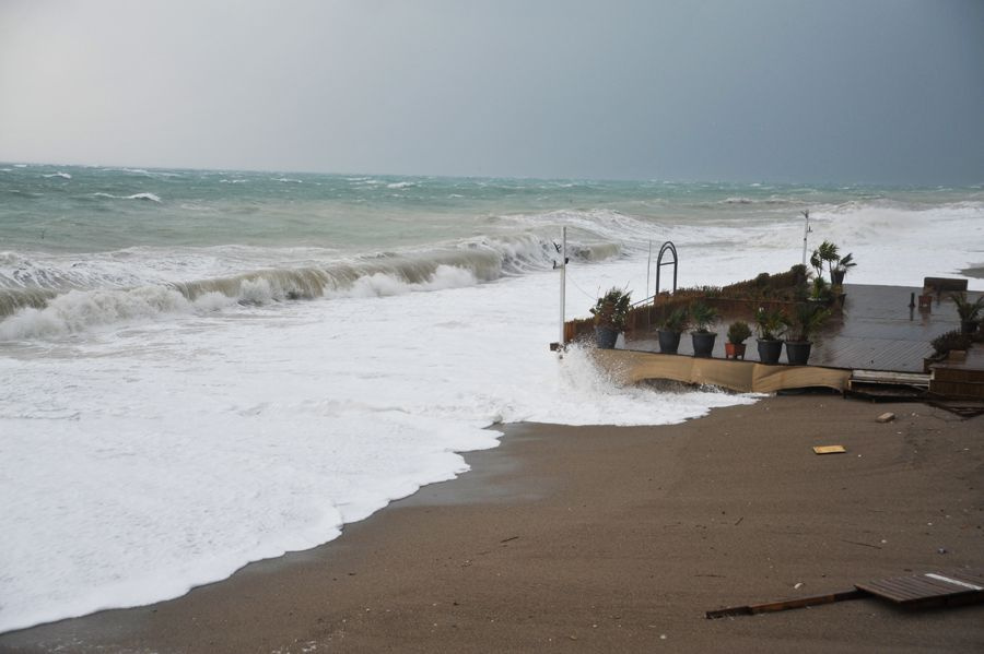 Antalya'da kuvvetli rüzgar ve sağanak etkili oluyor! Ağaçlar devrildi, çatılar uçtu