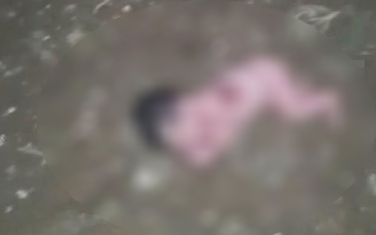 Bağcılar'da bahçede yeni doğmuş bebek bulundu! Polis bebeği bırakanları arıyor