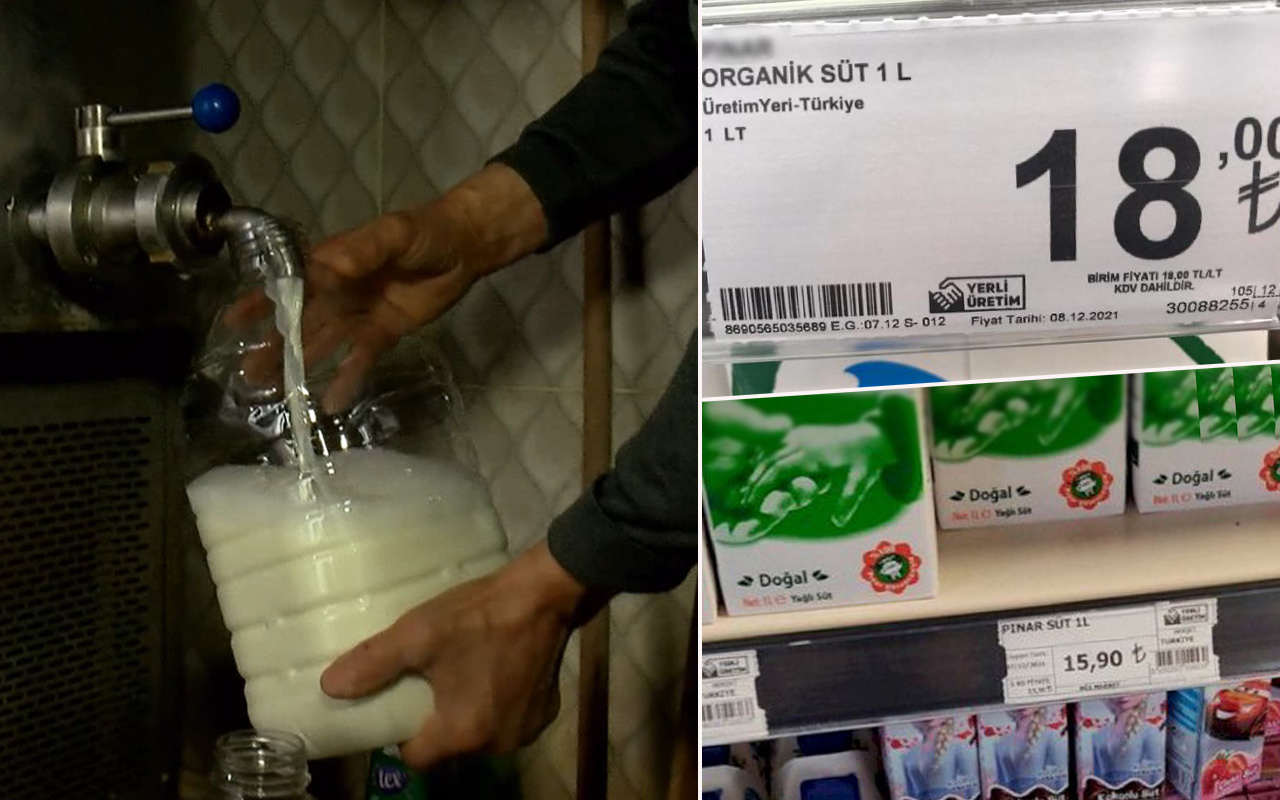 Marketlerde süt 18 liraya kadar çıktı! Üreticideki fiyatı ise şoke etti!