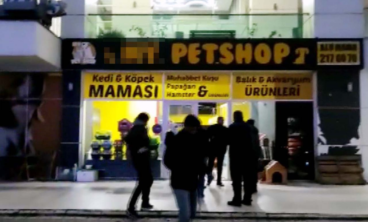 Ankara'da pet shopta hayvanların hali yürek burktu! Böyle vicdansızlık olmaz