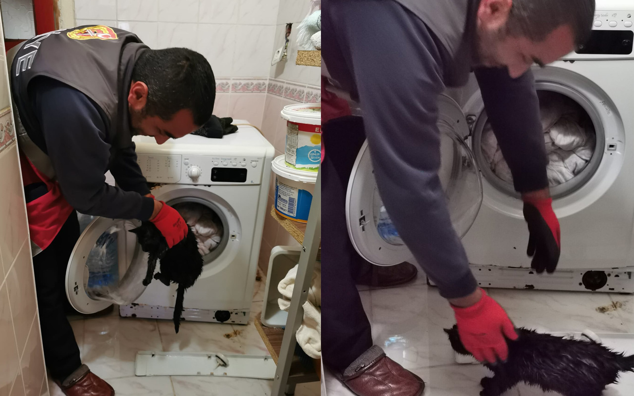 Artvin'de beslediği kediyi yorganlarla çamaşır makinesine attı!