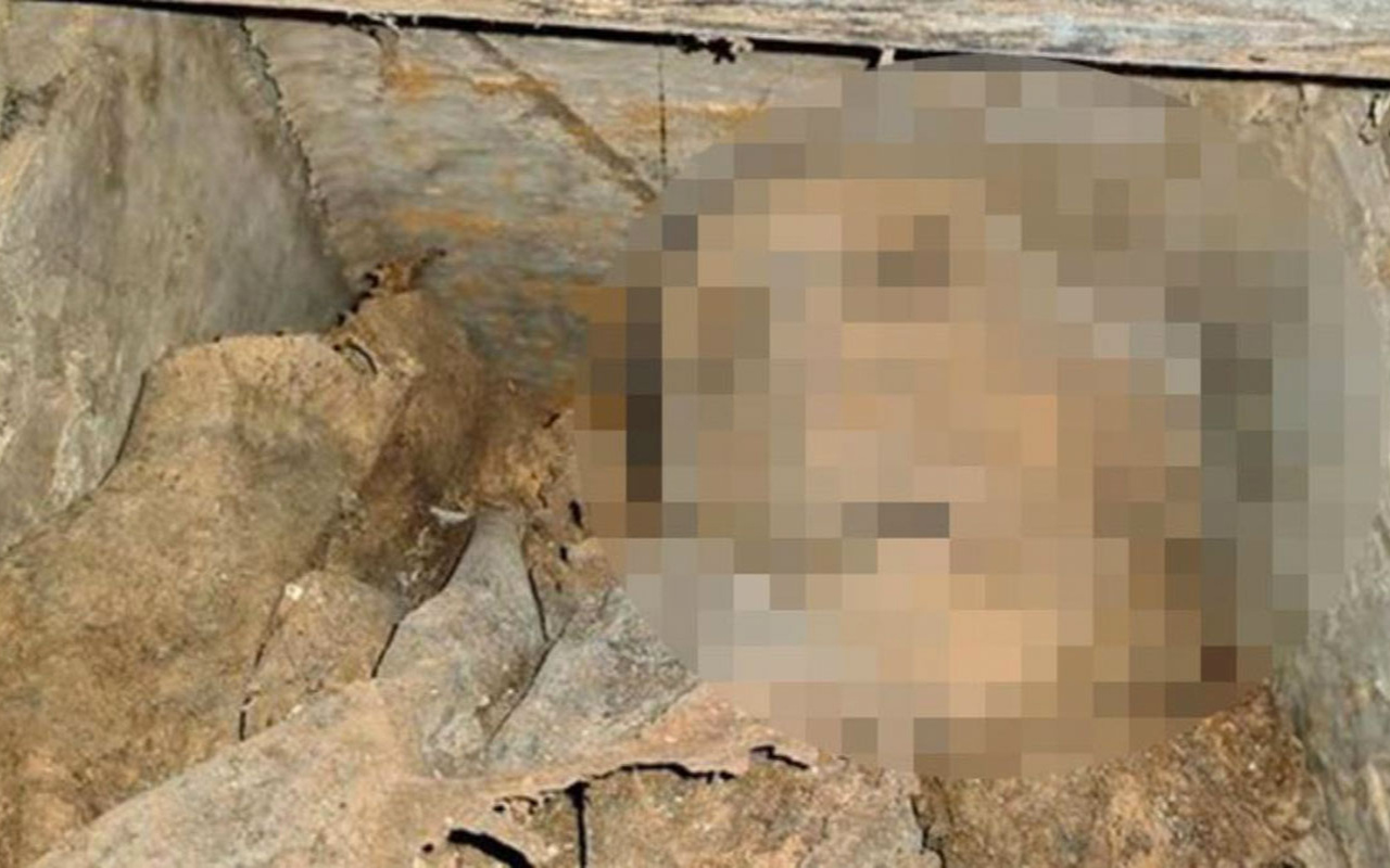 330 yıl önce ölen adamın mezarı kazıldı cesedi gören polisler de şaşırdı