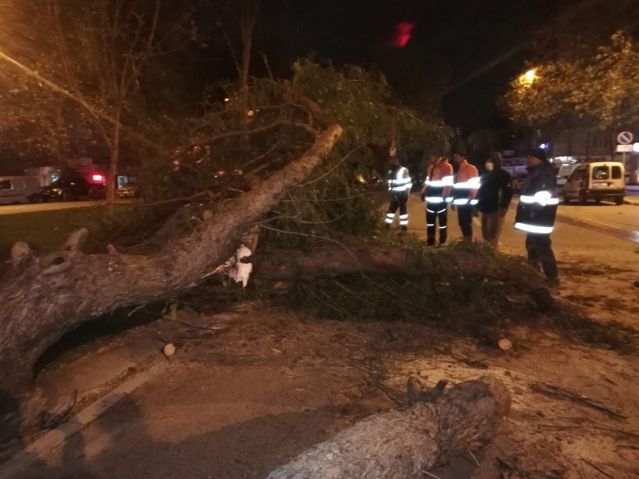 İzmir'i fırtına vurdu! Fırtına elektrik direklerini devirdi, ağaçları kökünden söktü