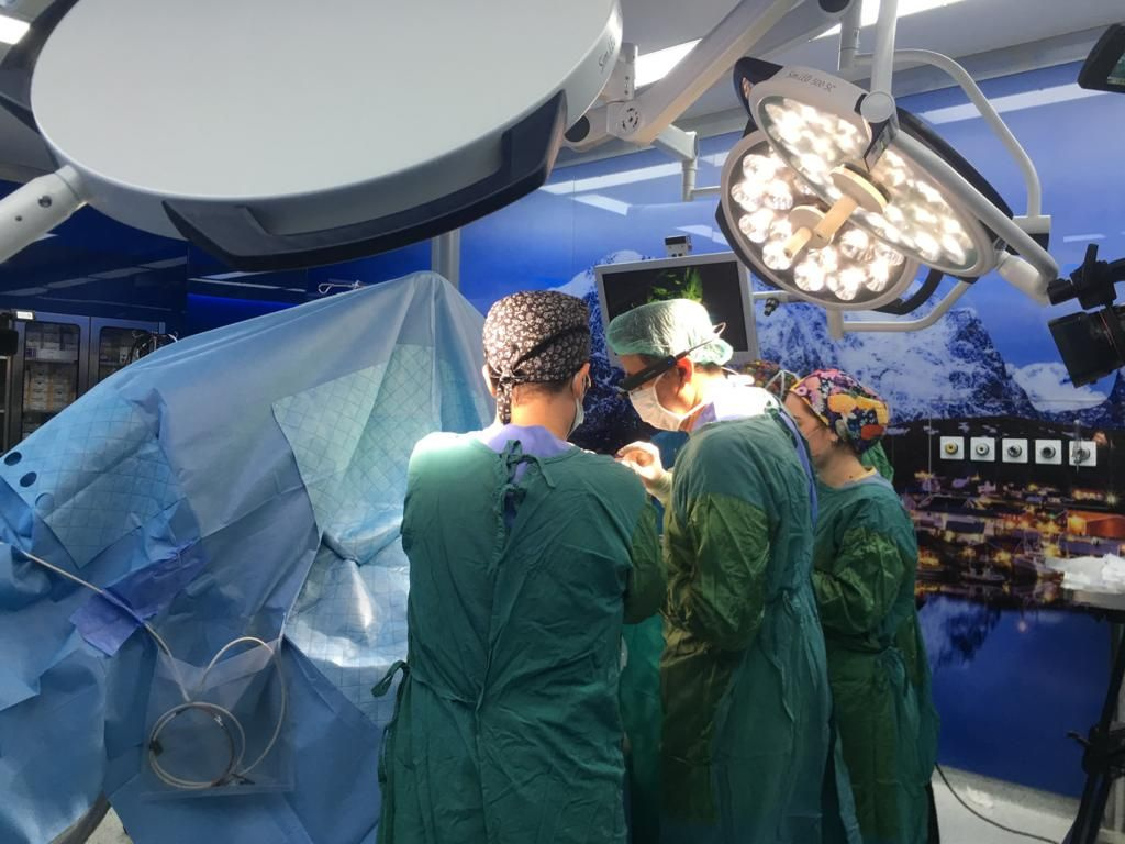 Türkiye'de ilk kez canlı beyin pili ameliyatı kursu gerçekleşti