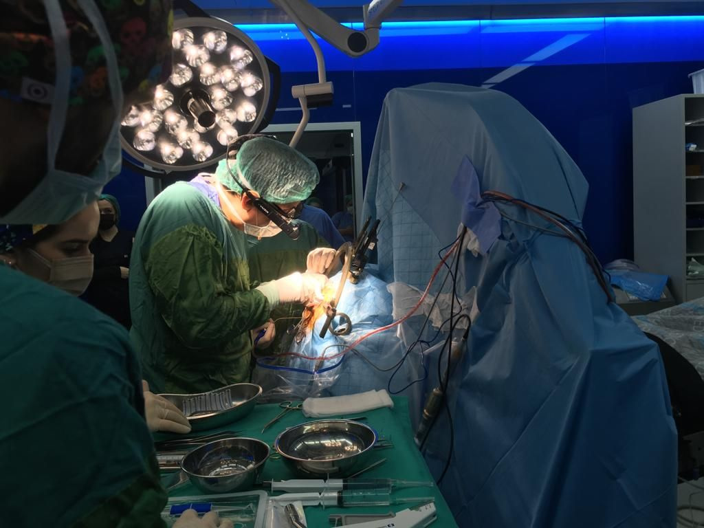 Türkiye'de ilk kez canlı beyin pili ameliyatı kursu gerçekleşti