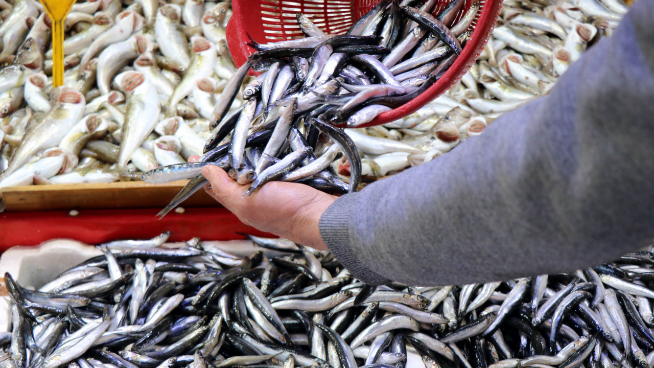 Soğukla birlikte satışlar arttı! Balık fiyatları cepleri yaktı: Ucuzlayacağını zannetmiyoruz.