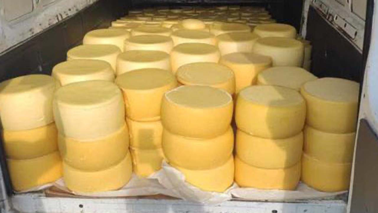 Sivas'ta 1 ton 800 kilo ele geçirildi! Kaynağı belirsiz kaşar peyniri