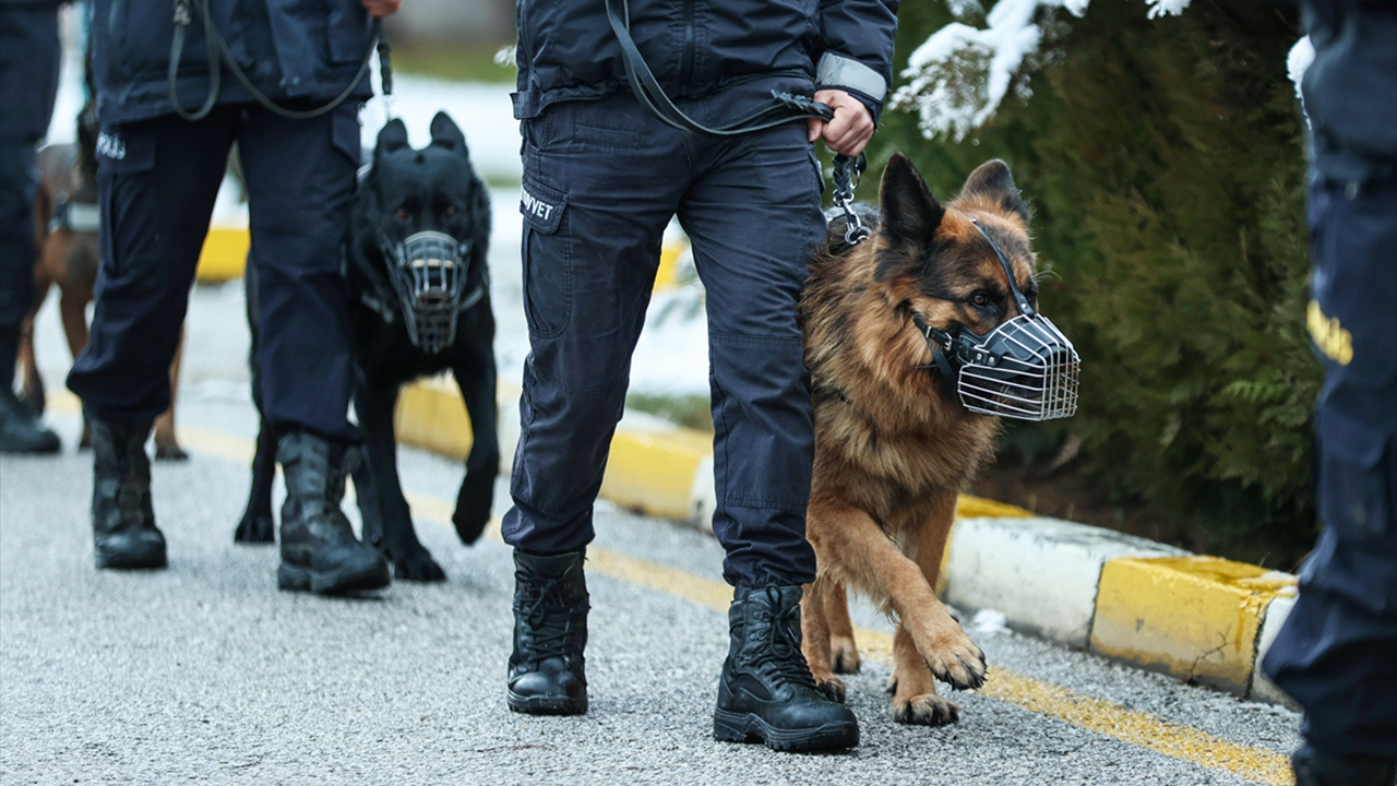 Operasyonların gizli kahramanları dedektör köpekler sıkı eğitimden geçiriliyor