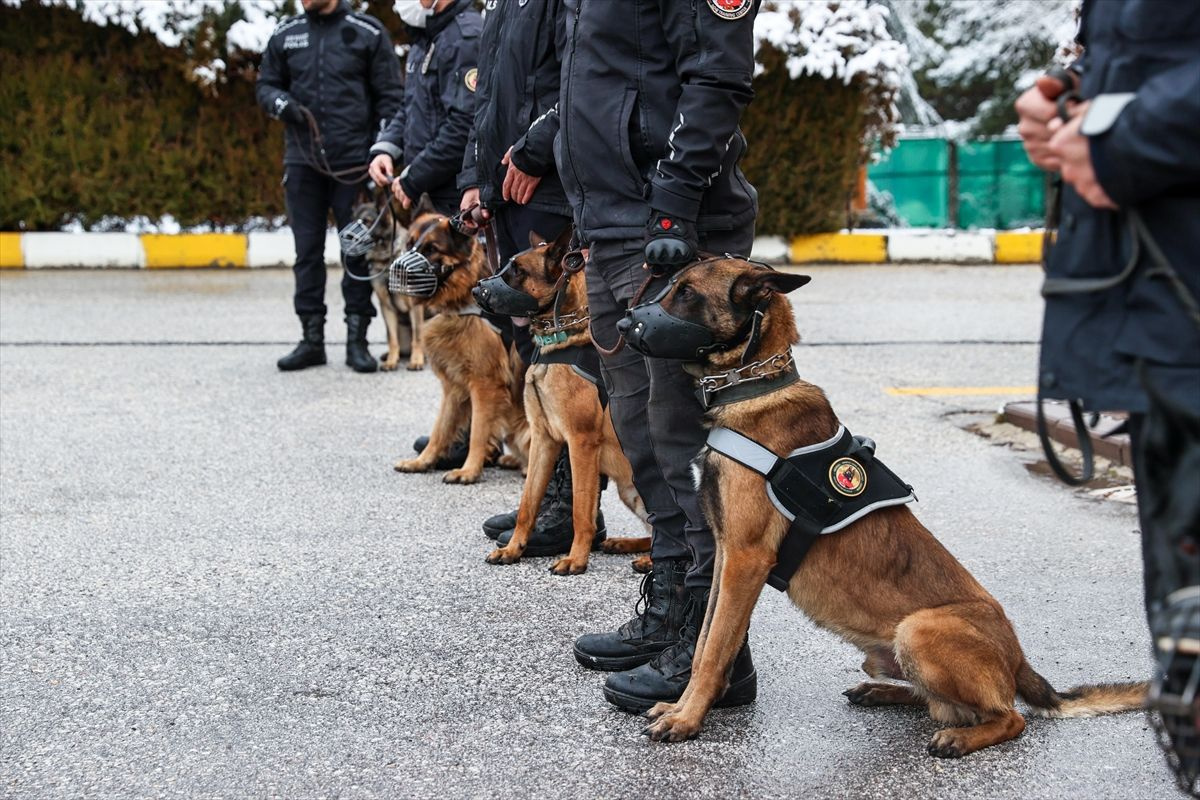 Operasyonların gizli kahramanları dedektör köpekler sıkı eğitimden geçiriliyor