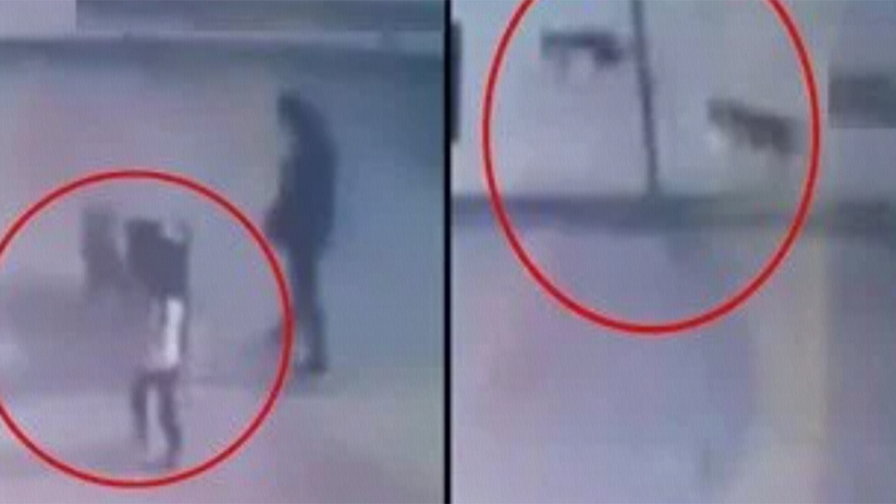 Gaziantep'te küçük çocuğun yaralandığı pitbull saldırısında yeni görüntüler ortaya çıktı