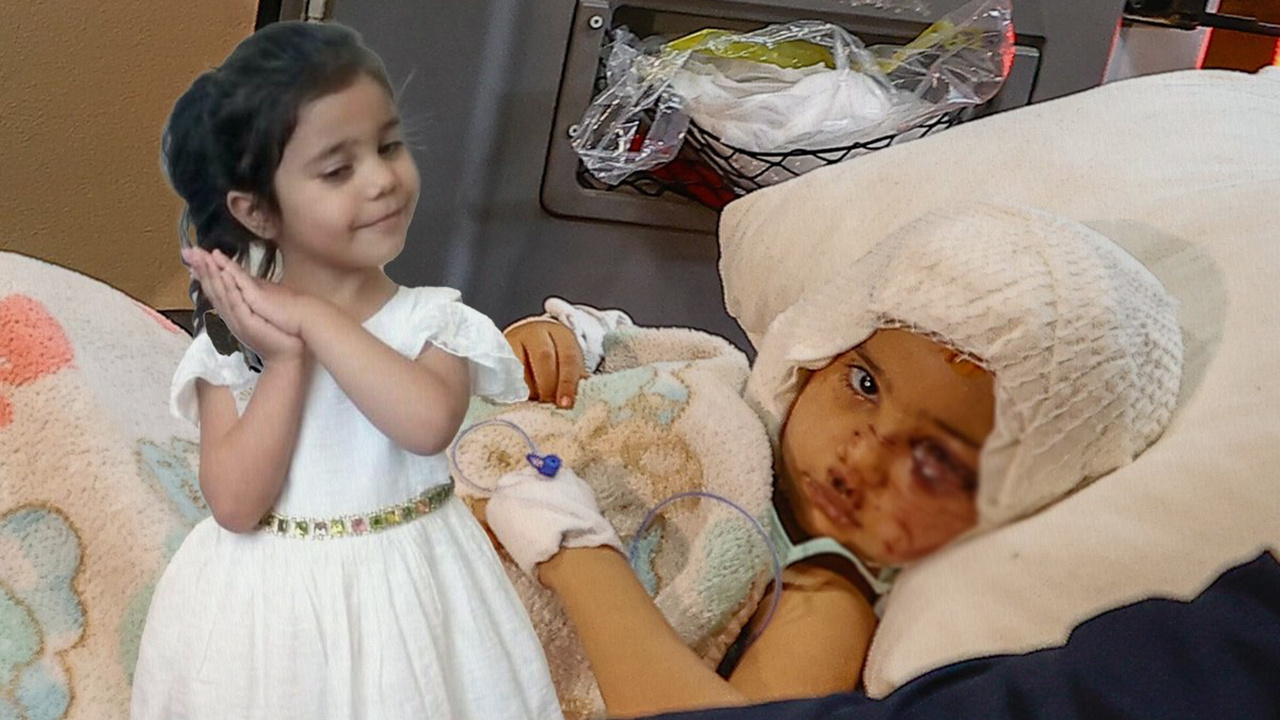 Pitbull saldırısında ağır yaralanan 4 yaşındaki Asiye'nin ailesine skandal dava