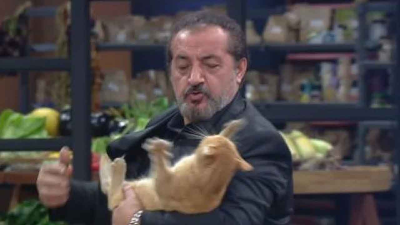 TV8 MasterChef Mehmet Yalçınkaya sarı kediyi 'kurban olurum' diye severken gözüne pati yedi!
