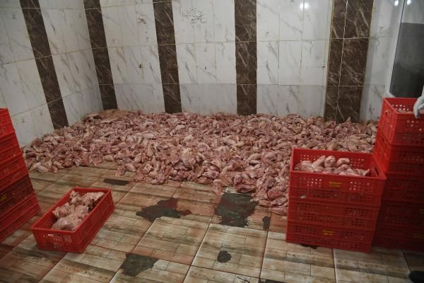 Adana'da mide bulandıran görüntü! Yılbaşı için piyasaya sürülmek istenen 2 ton sağlıksız tavuk eti ele geçirildi