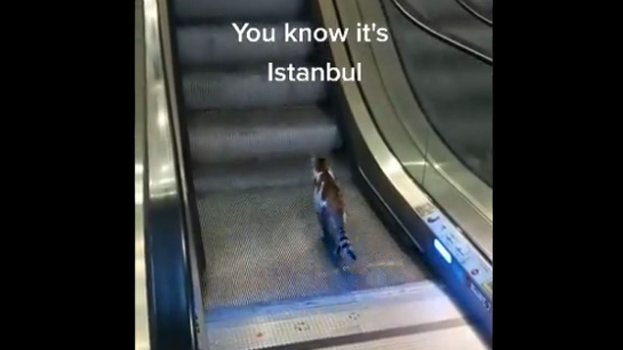 Ekrem İmamoğlu'nun yürüyen merdivenlere ters binen kedi videosu paylaşımı olay oldu CHP'den açıklama