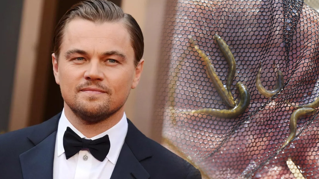 Leonardo DiCaprio'nun Türkiye paylaşımı heyecan yarattı