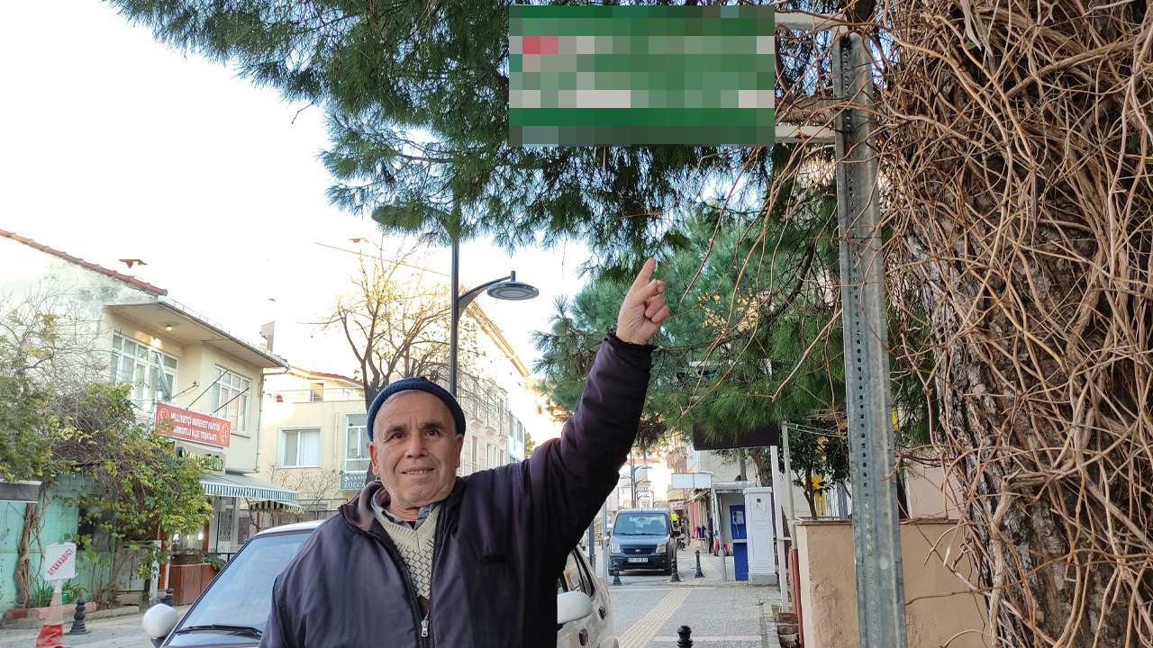 Yalova'da bu tabelayı görenler inanamadı! Türkiye'de ilk ve tek: İnsanlar akın akın geliyor