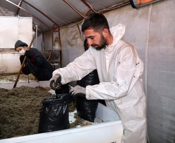 Şoförlüğü bırakıp bu işe başladı! Tadını bile bilmiyor 600 bin lira kazandı