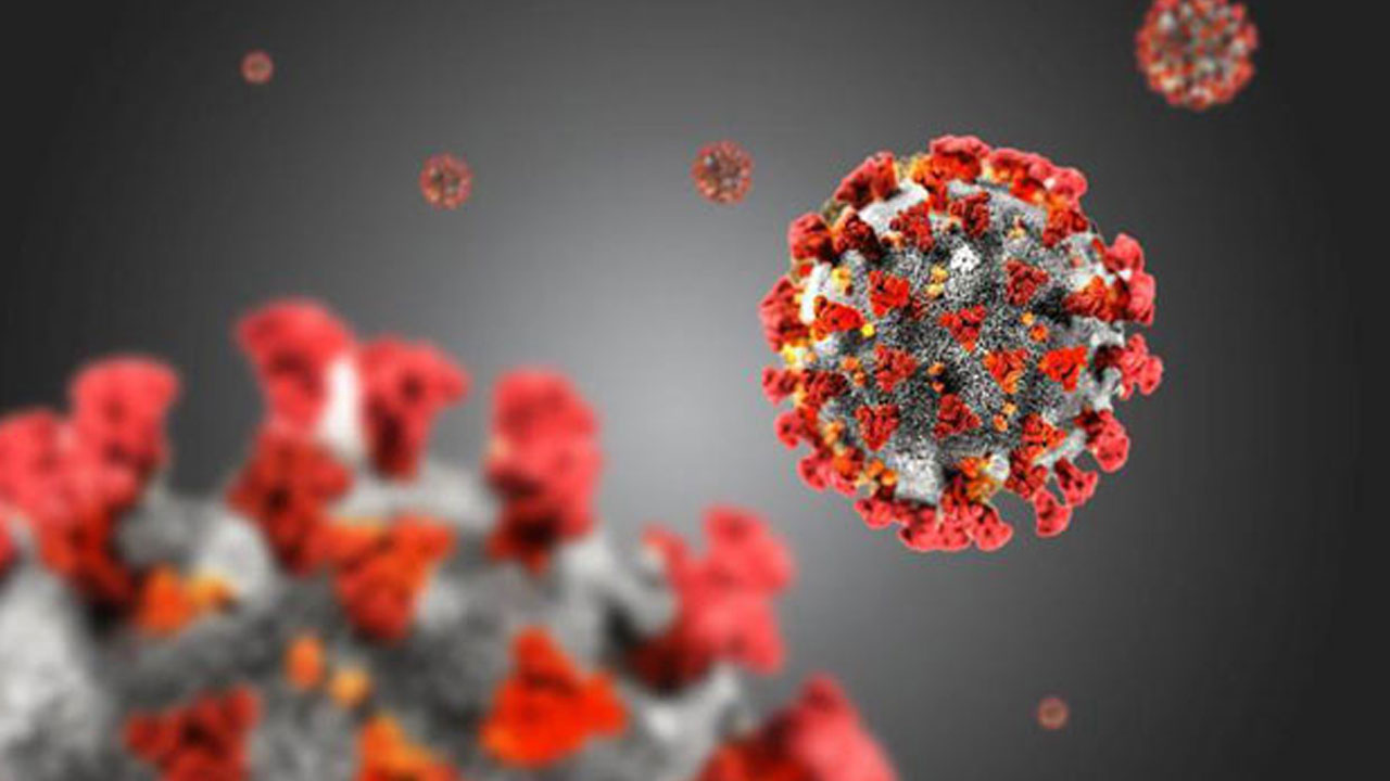 Küresel ısınma yüzünden yeni tehlike geliyor Koronavirüs bitse de 4 bin virüs daha var
