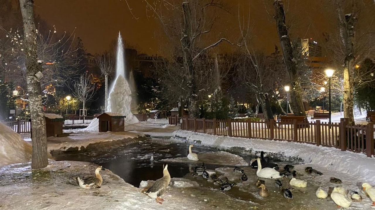 Ankara dondu kaldı! Kuğulu Park'ın fıskiyelerinden 4 metrelik buzullar oluştu