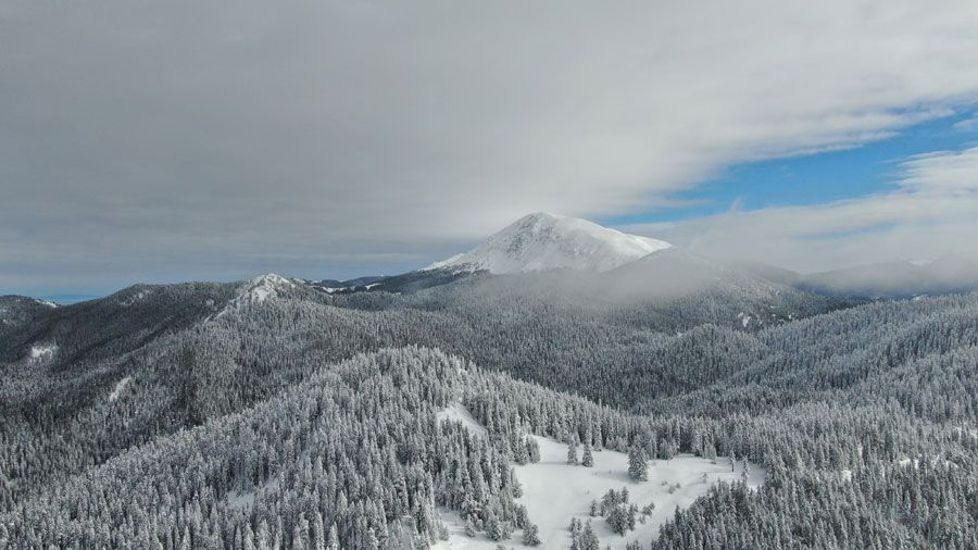 Kar altında havadan görüntülenen Ilgaz dağları mest etti