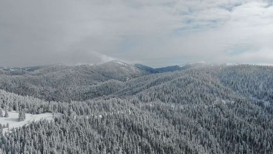 Kar altında havadan görüntülenen Ilgaz dağları mest etti