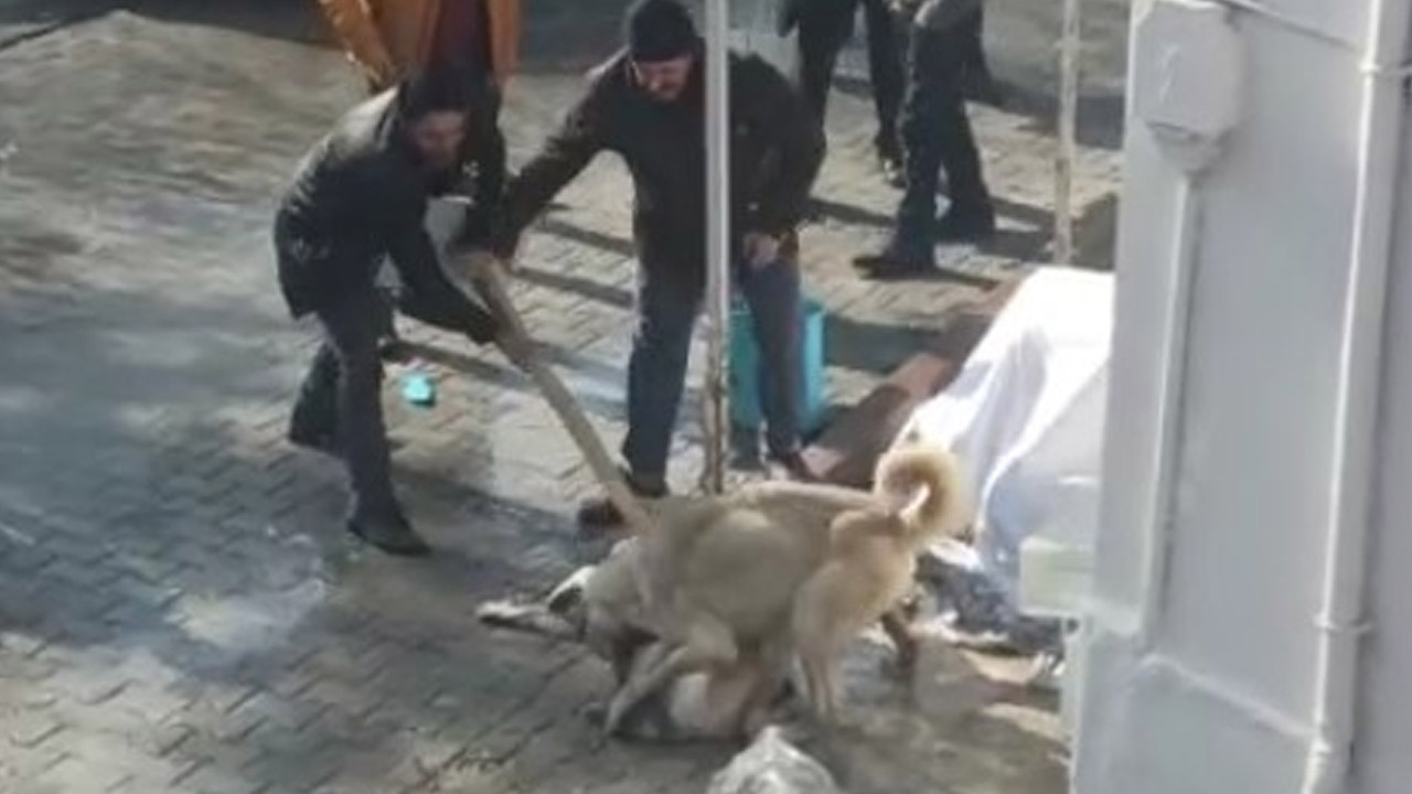 Malatya'da dakikalarca sürdü! Kavgada gözü döndü: Tekmelerle müdahale ettiler