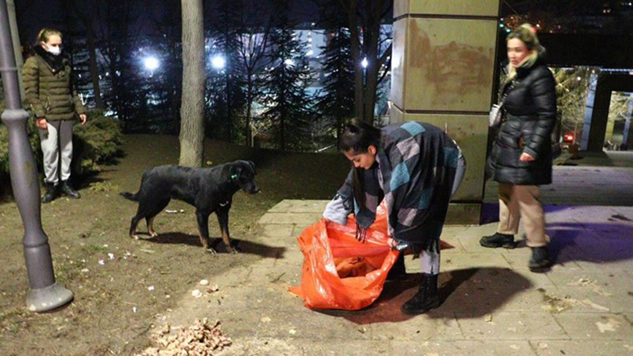 Ankara’da bir köpek zehirlenerek öldürülen 8 yavru köpeğin başından ayrılmadı