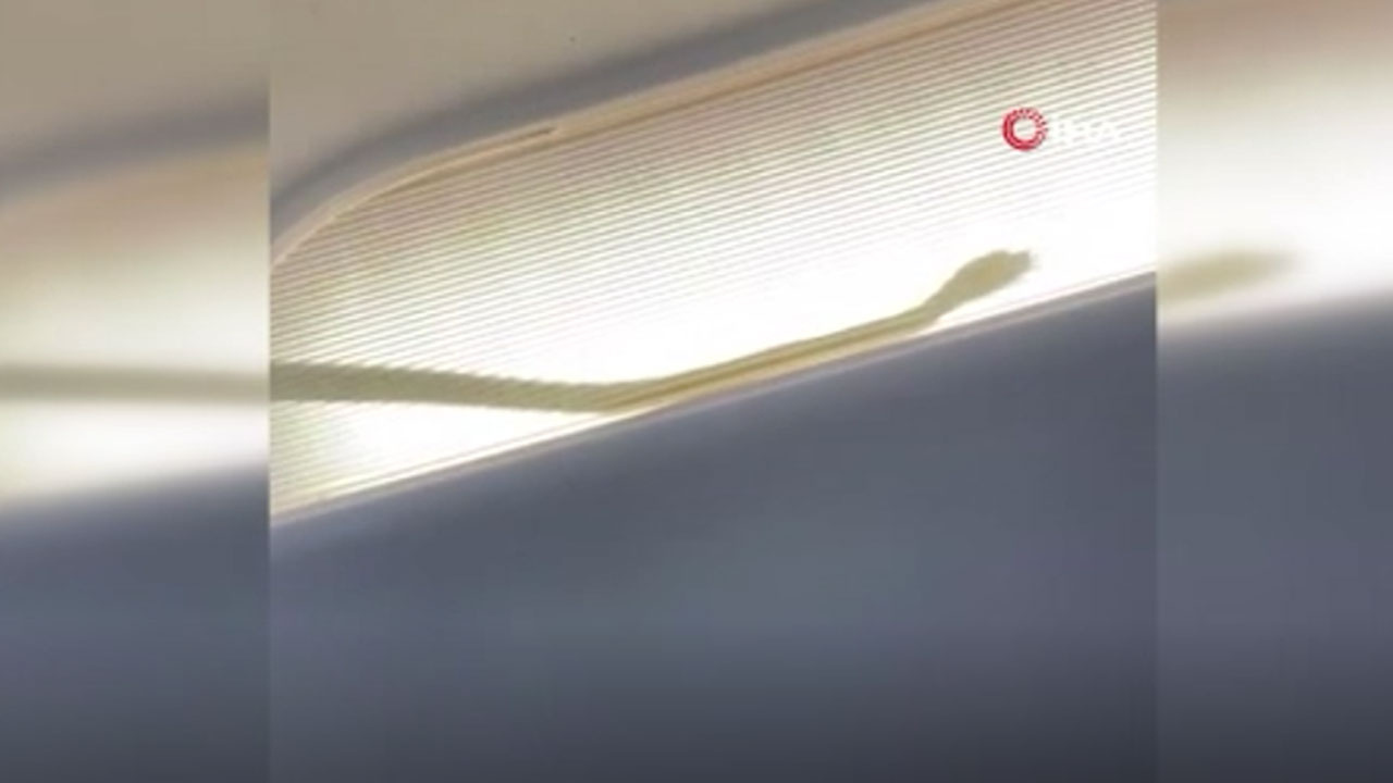 Uçağa yılan girdi acil iniş yapıldı