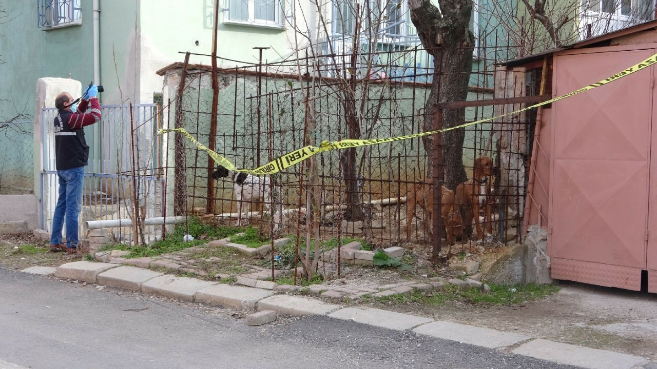 Uşak'ta komşuların köpek kavgası kanlı bitti! Ağır yaralandı