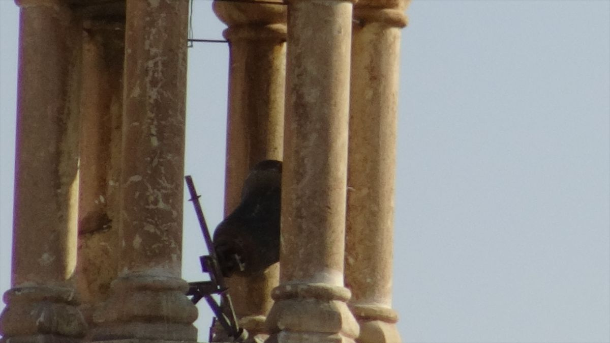 Mardin'de 800 yıllık kilisedeki çanı çalmaya çalışan hırsızlar çıkan ses üzerine kaçtı