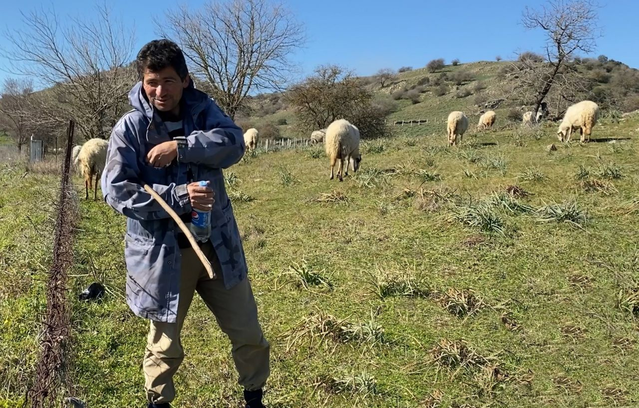 Çobanlık deyip geçmeyin! Koyun güderek 1000 dönüm arazi satın aldı