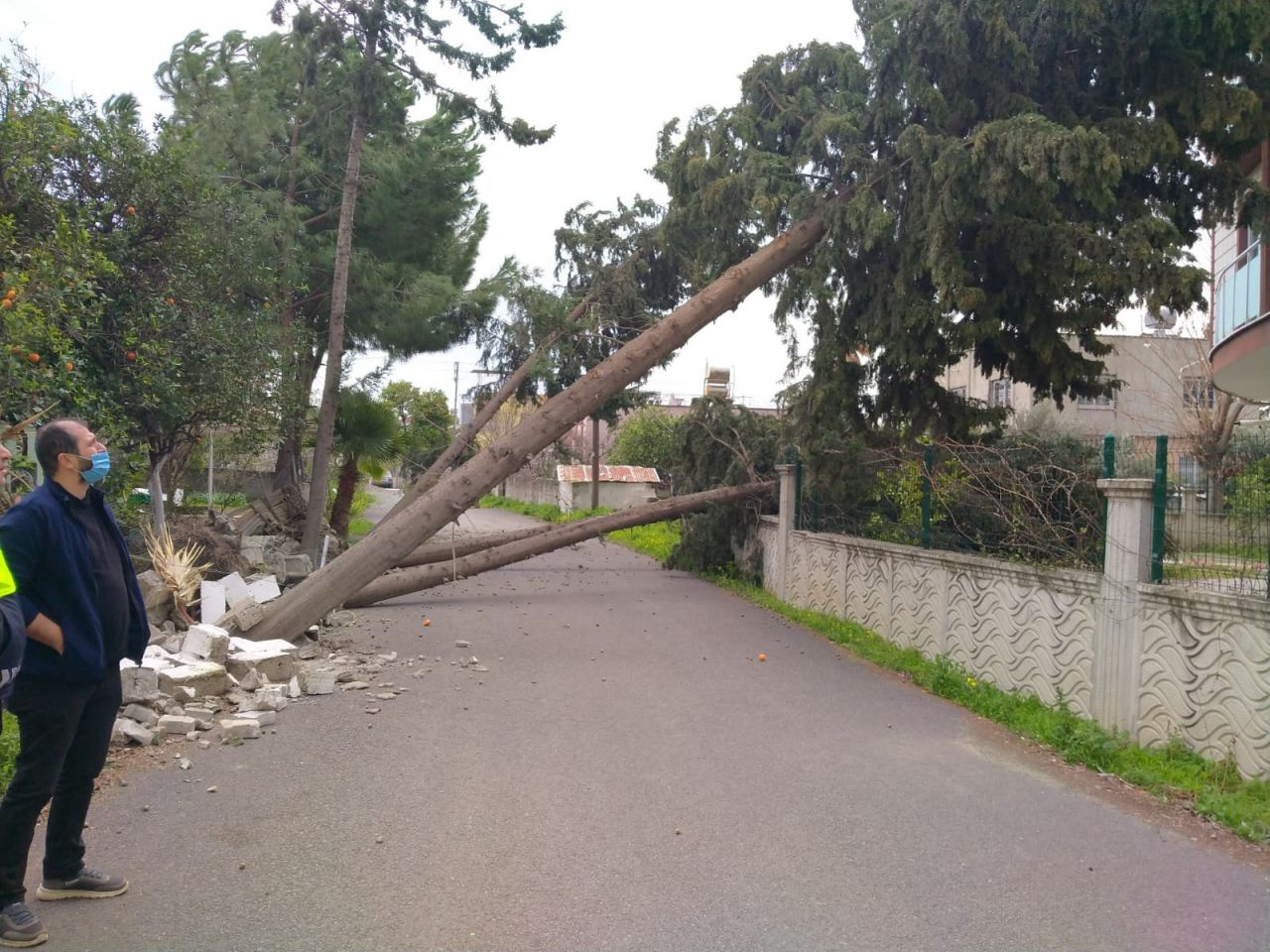 Hatay'da fırtına kabusu! Çatılar uçtu ağaçlar devrildi: Okullar tatil edildi