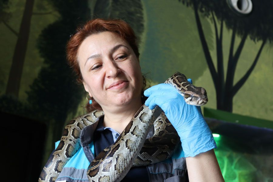 Kayseri'de bu kadın yılanları boynuna alarak geziyor