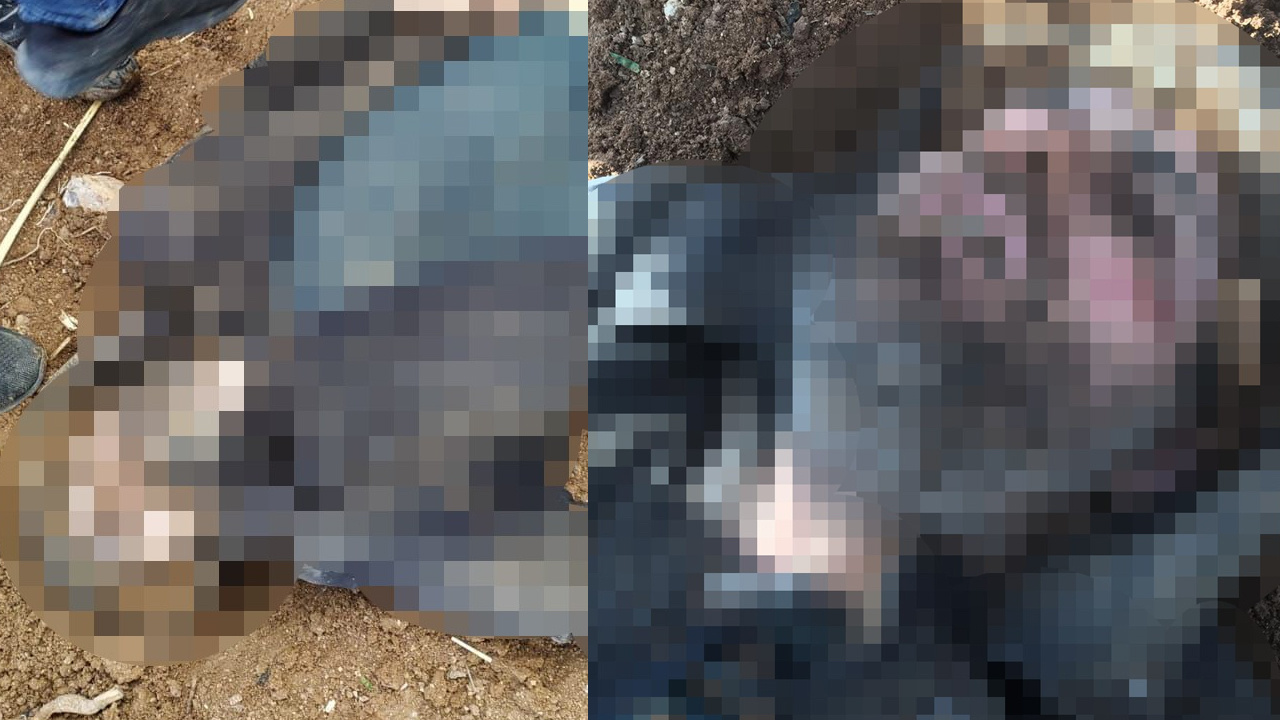 Şanlıurfa'da 2 polisi şehit eden Mehmet Aslan bakın nerede nasıl öldü