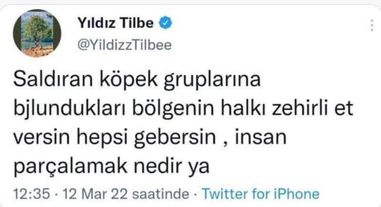 Yıldız Tilbe 'zehirli et verin, hepsi gebersin' diye yazdı kafası iyi iddiası geldi