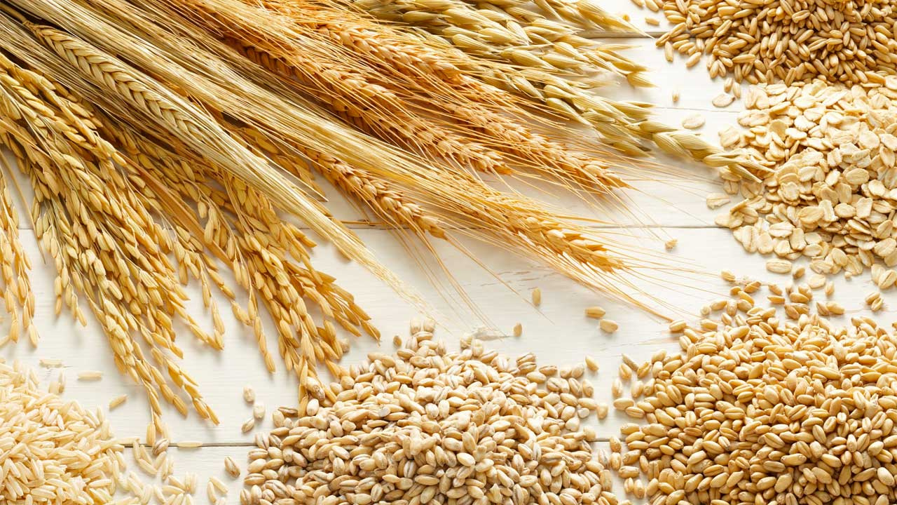 Rusya geçici olarak bazı ülkelere tahıl ihracatını durdurdu Türkiye liste de mi?