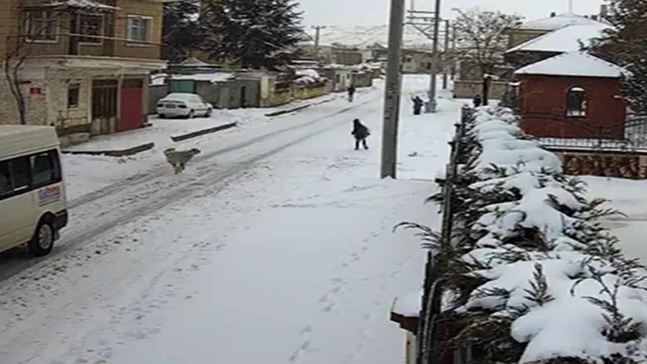 8 yaşındaki çocuğa köpek saldırısı görüntülendi Karlar altında nereye kaçacağını şaşırdı